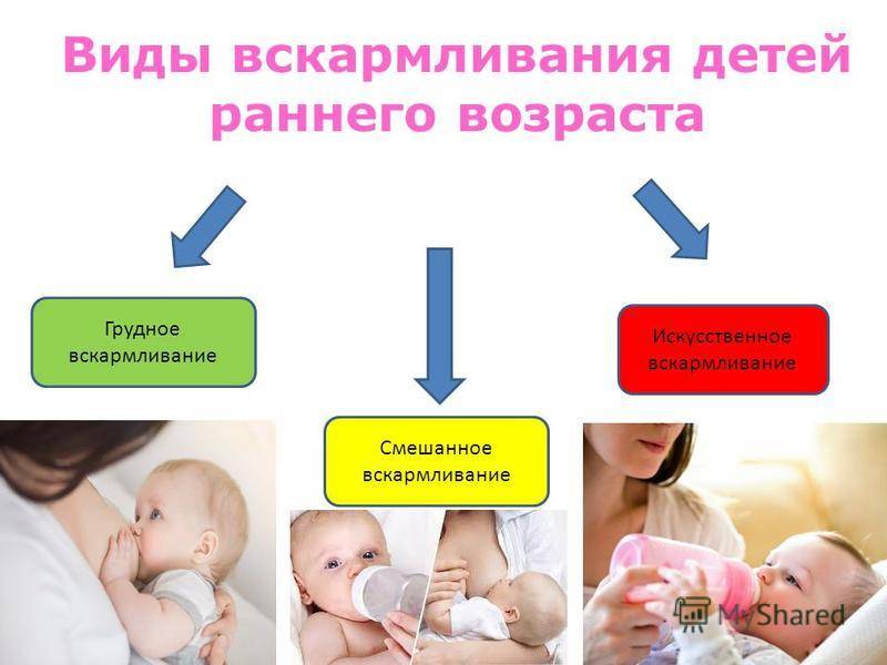 12 лучших смесей для новорожденных 2023 рейтинг топ-12 детских смесей при смешанном искусственном и - орт: ort-tv.ru