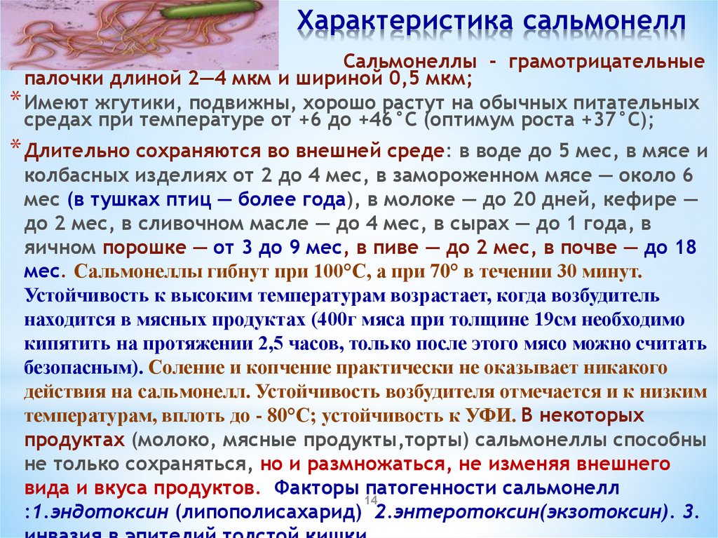 Сальмонеллез: симптомы, лечение