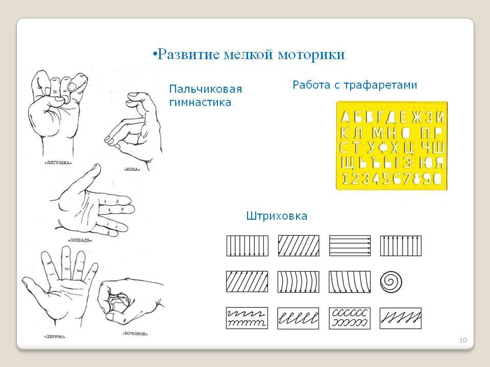 Упражнения на мелкую моторику рук у взрослых: лучший комплекс, польза