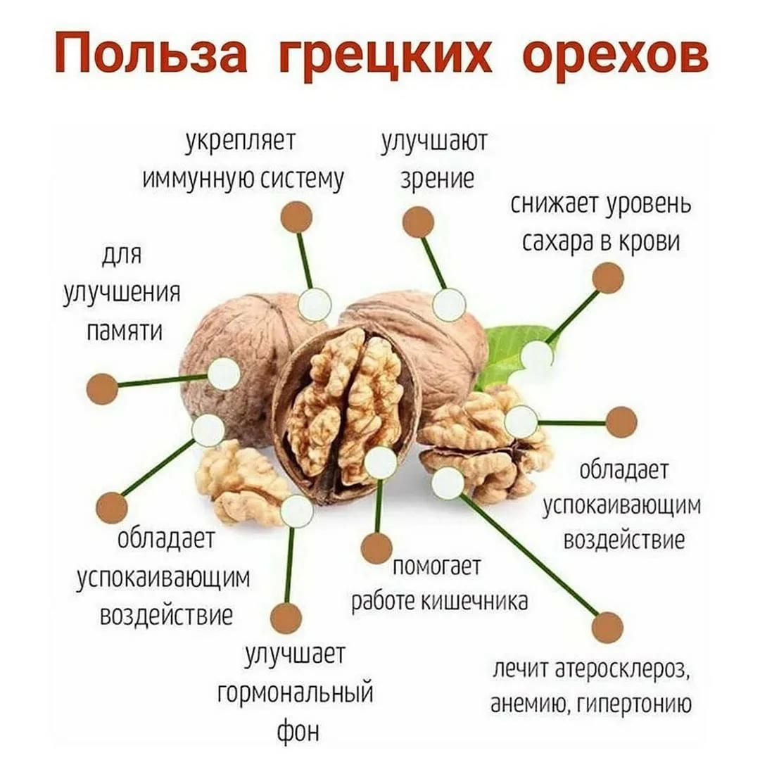 Можно ли грецкие орехи при сахарном диабете. Чем полезен грецкий орех. Грецкий орех польза. Польза грецких орехов. Чем полезен грецк й орех.