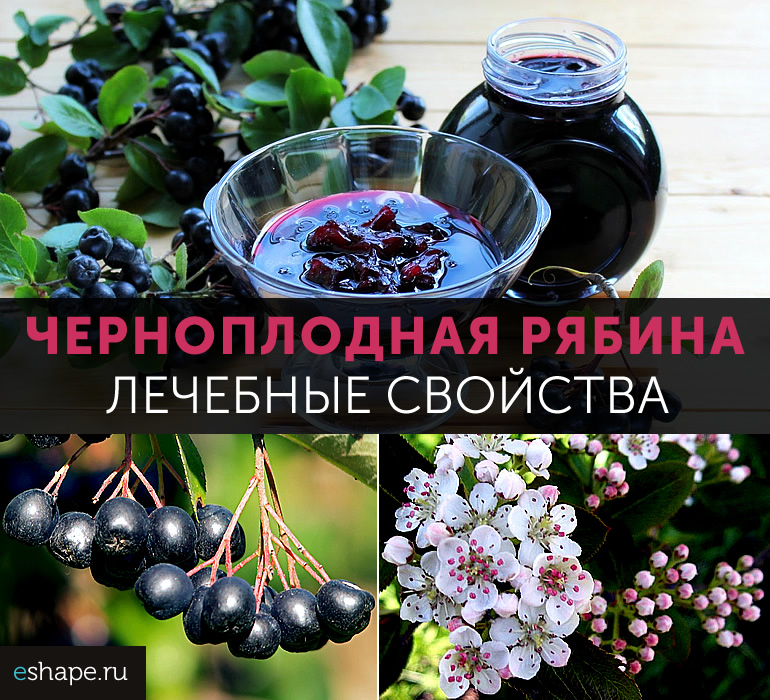 Черноплодная рябина при грудном вскармливании - полезные свойства