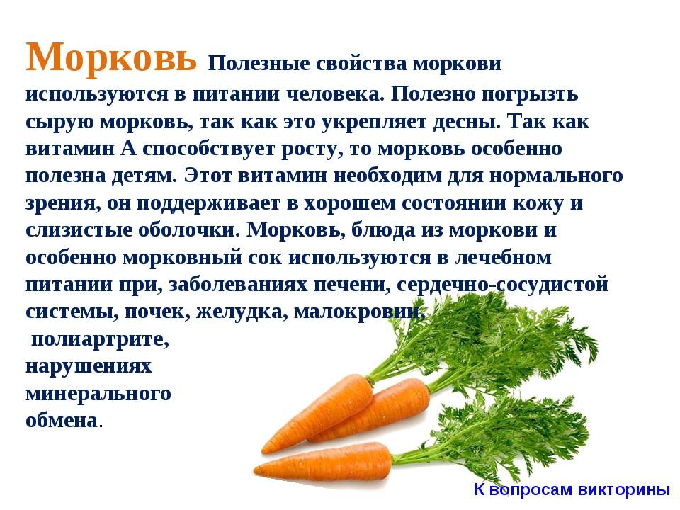 Можно ли кормящей мамочке морковку