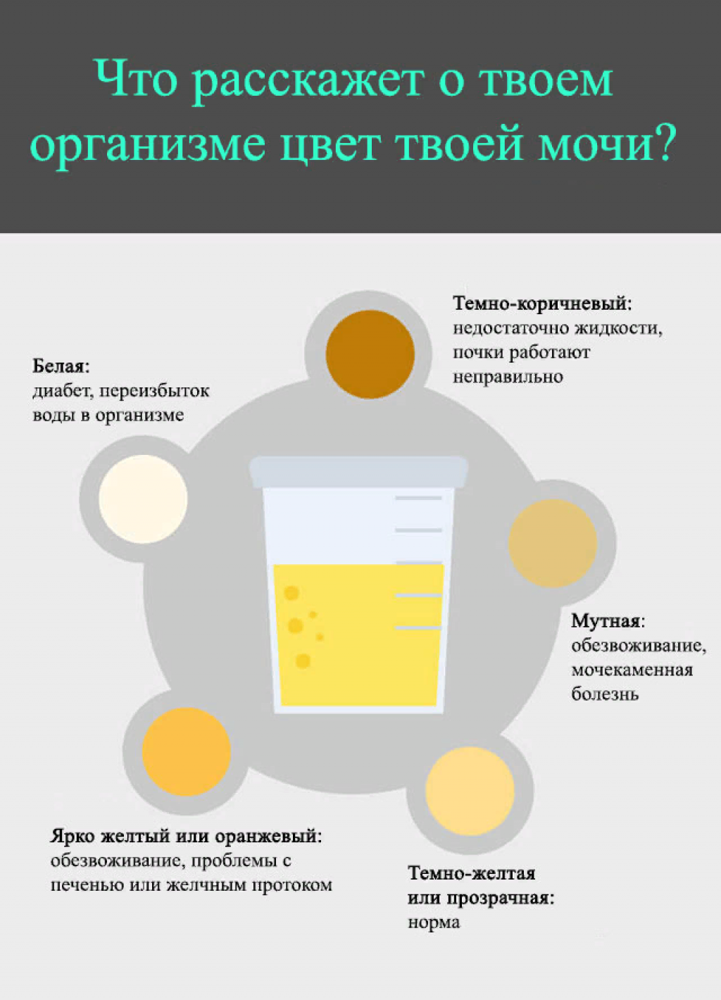 Бесцветная моча у ребенка: прозрачная, желтая, белая - что это значит и почему меняется цвет?