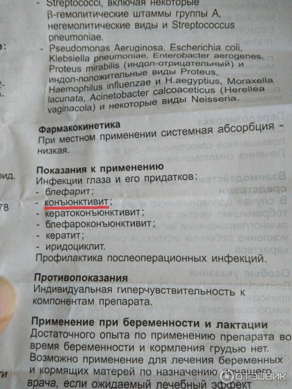 Капли для глаз при грудном вскармливании - альбуцид, левомицетин, тобрекс, ципромед и другие