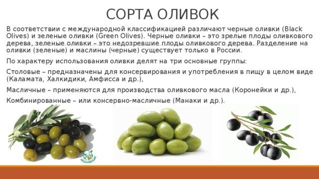 Можно ли потреблять оливковое масло при грудном вскармливании