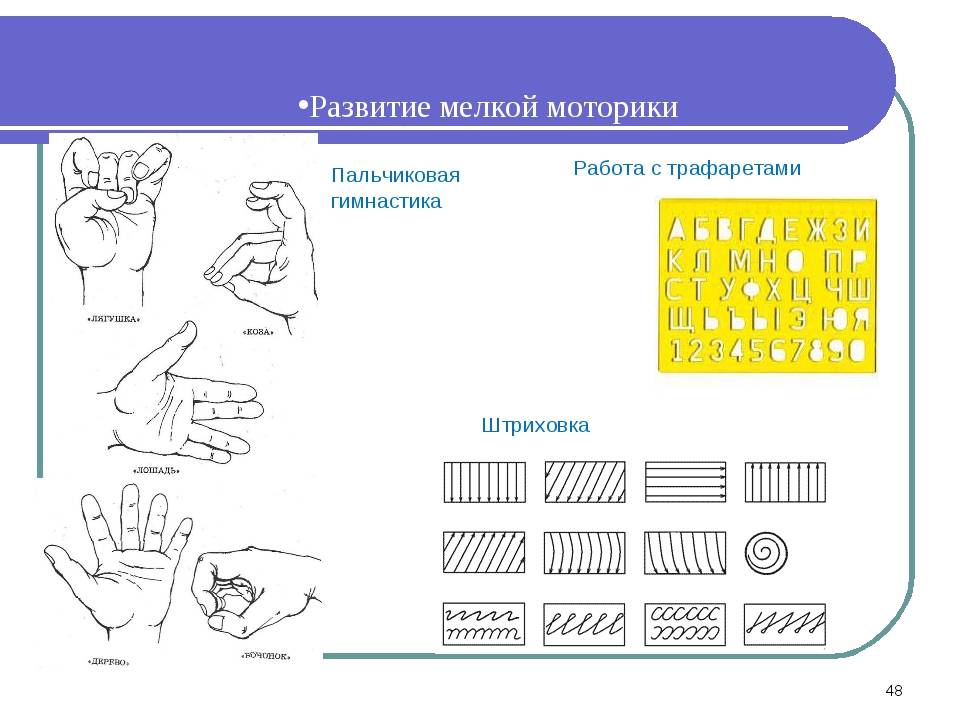 Развитие мелкой и крупной моторики у ребенка