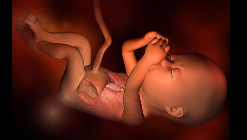 17 неделя беременности развитие и фото — евромедклиник 24
