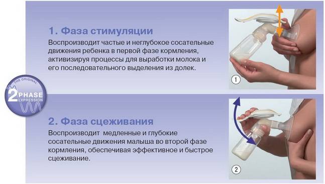 Зачем нужен молокоотсос, как выбрать и как им пользоваться