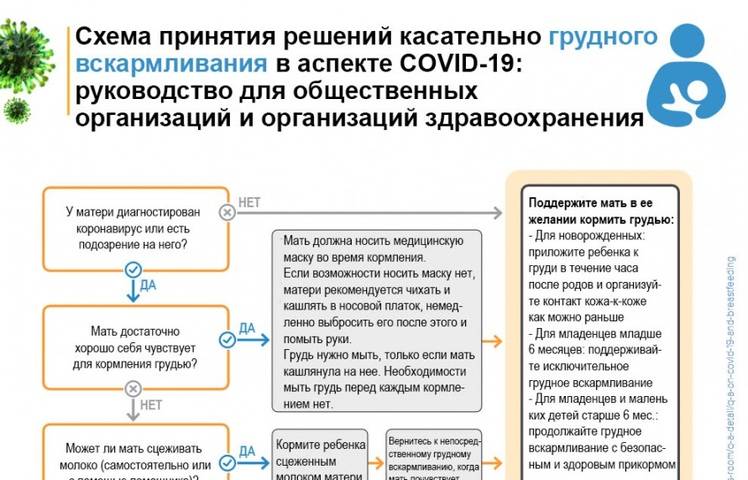 Как сохранить гв при выходе на работу | уроки для мам