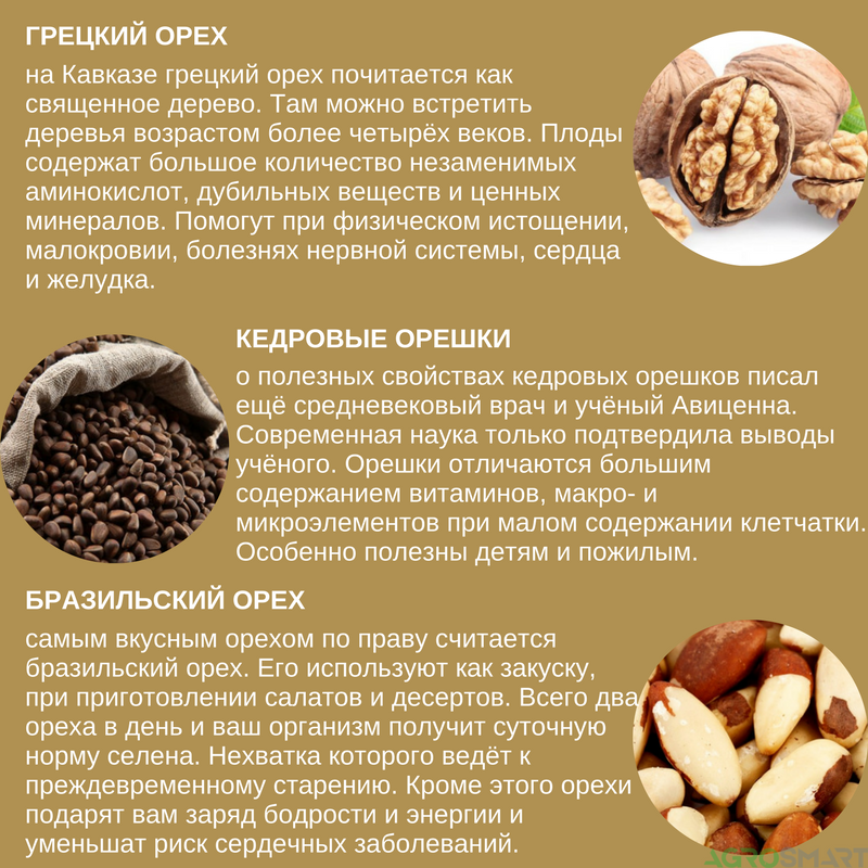Грецкие орехи при беременности: польза и вред. сколько можно орехов беременным? - spuzom.com