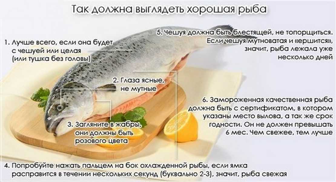 Какую рыбу можно кормящей маме и как его готовить?
