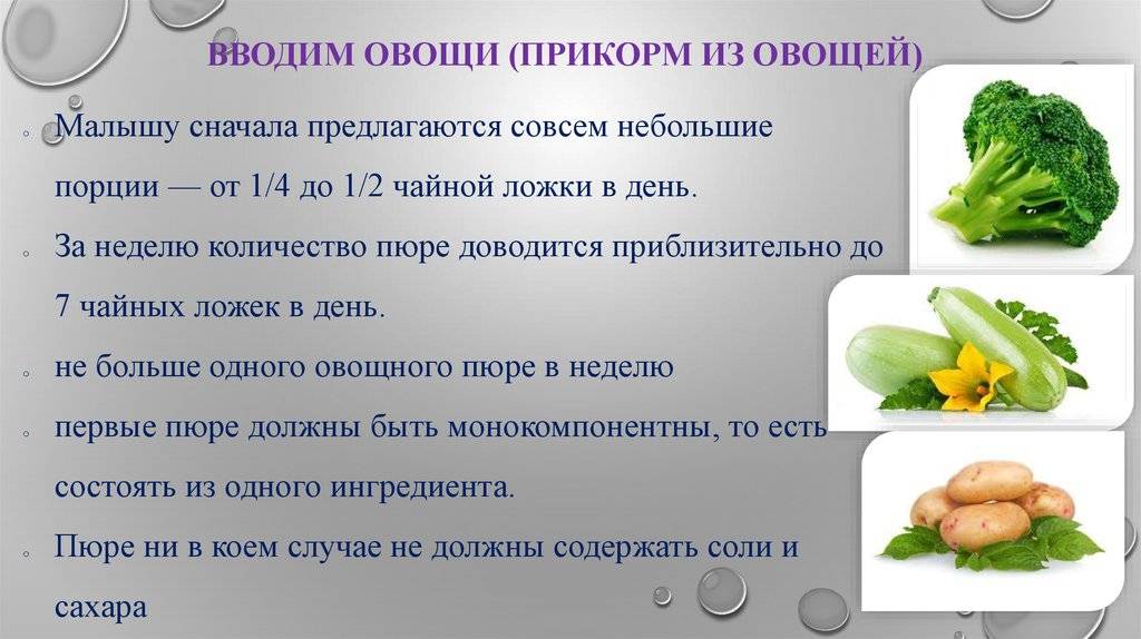 Овощное пюре для детей: когда начинать давать, 12 правил прикорма, советы педиатра по приготовлению