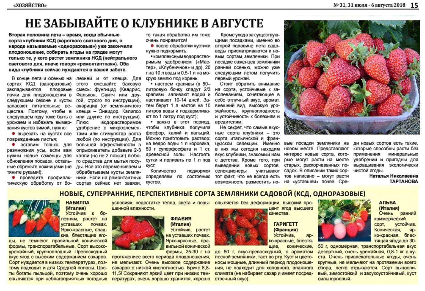 Можно ли детям клубнику, с какого возраста, сколько
