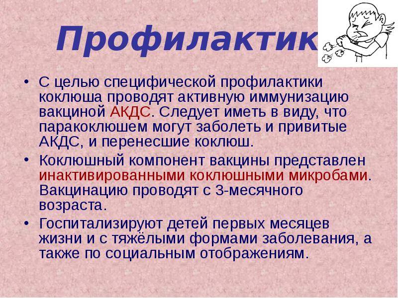 Симптомы коклюша у детей до года и старше: первые признаки и способы лечения в домашних условиях