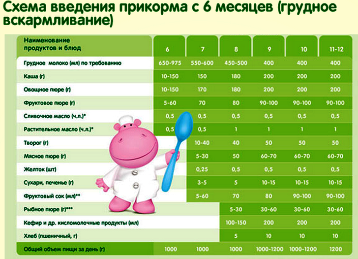 Прикорм при грудном вскармливании