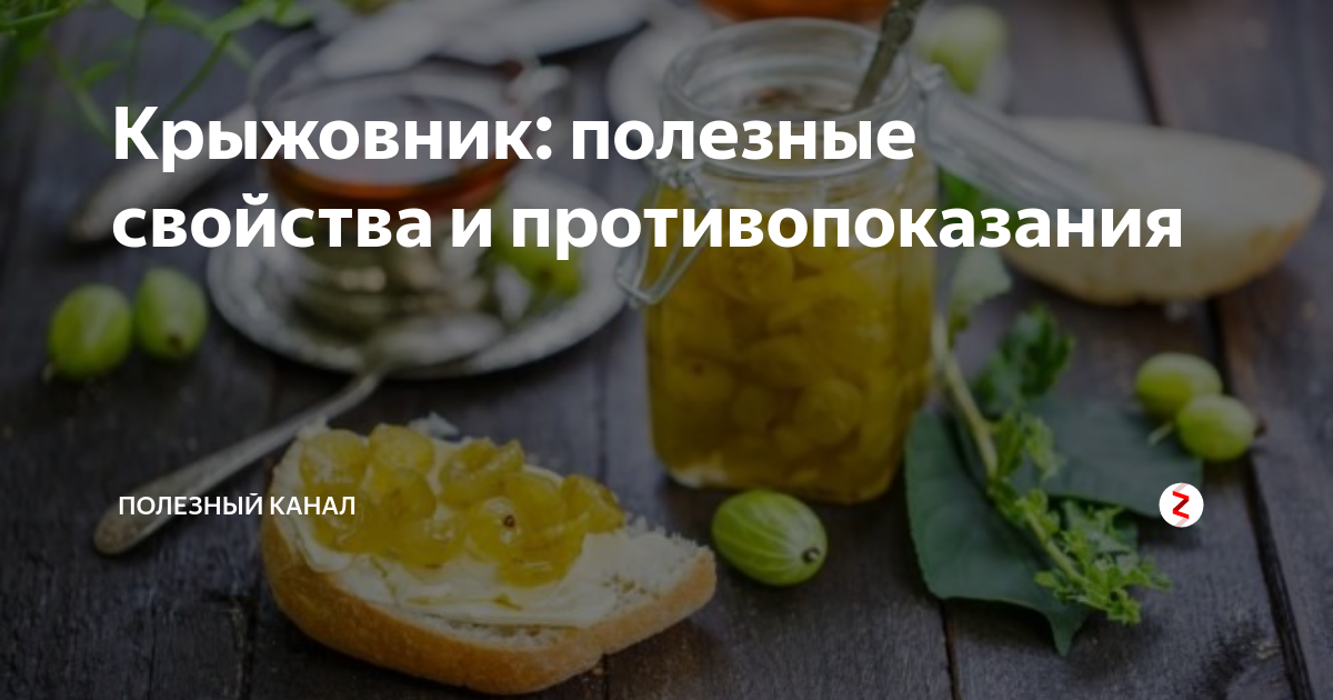 Крыжовник при грудном вскармливании: можно ли кормящей маме?